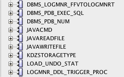 Oracle Command Execution - JAVACMD