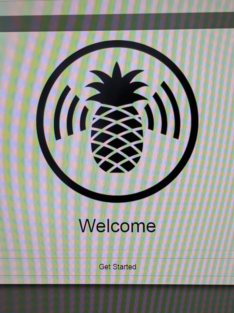 Pineapple Nano Setup - Access