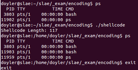 Shellcode Encoding - Final Execution