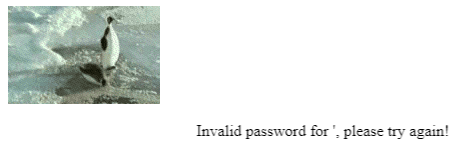 SQLite Injection - Invalid Password